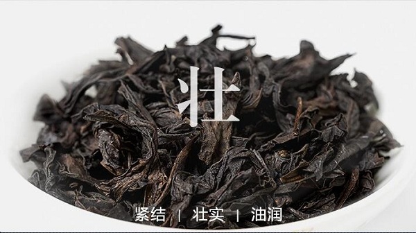 肉桂多少钱一斤
