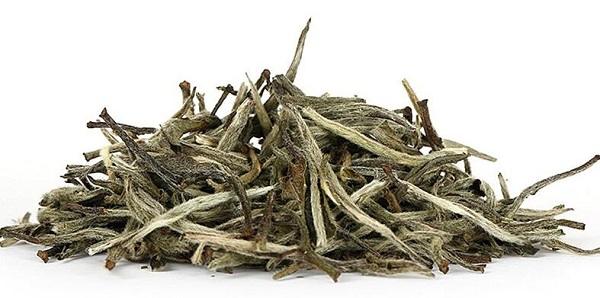 白茶的产地在哪里？种类有哪些？