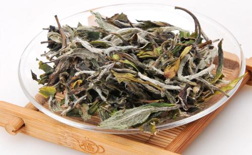 白茶有哪些